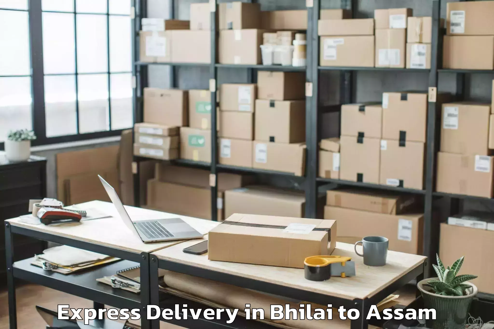 Professional Bhilai to Guwahati University Express Delivery